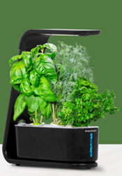aerogarden